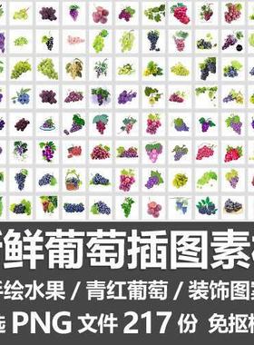 新鲜葡萄插图素材/手绘水果青绿红色葡萄提子装饰图案PNG免抠素材