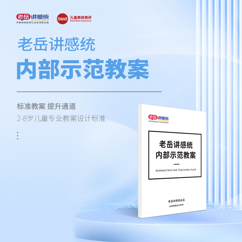 老岳讲感统内部示范教案15年线下机构训练老师总结分阶段表格化