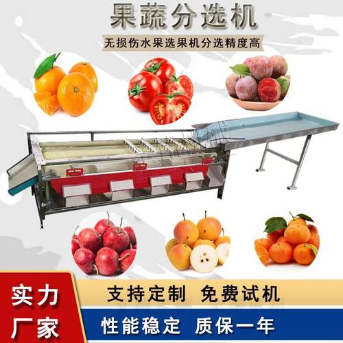 商用橙子分选机皮带式樱桃杨梅选果机可调节橘红分级机
