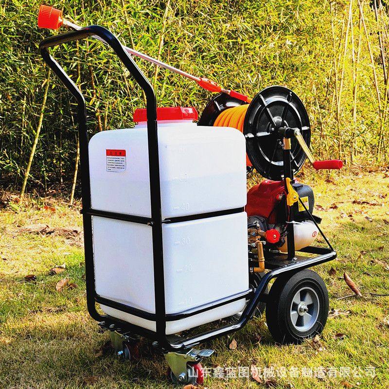 7.5马力汽油手推打药机家禽养殖消毒喷雾器农田菜园地高压弥雾机,五金/工具,筑路机械,淘宝优惠券,粉丝福利购,淘宝优惠卷