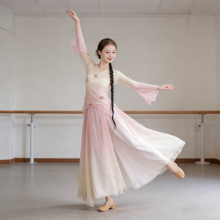 古典舞服装演出服裙裤日常纱衣女飘逸练功服仙气中国舞舞蹈服成人