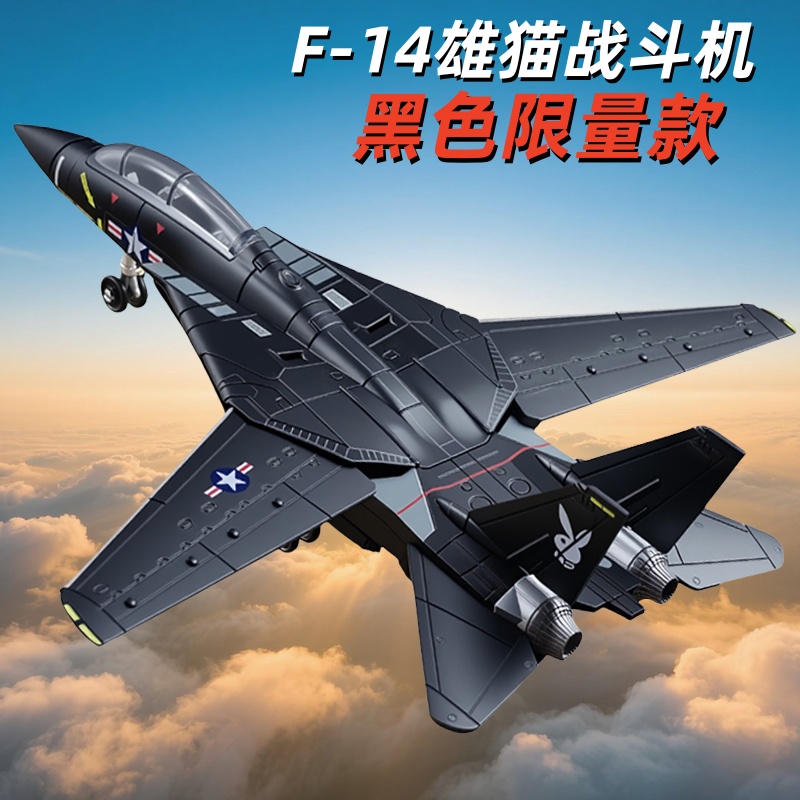旭嘉1/72F14雄猫战斗机模型