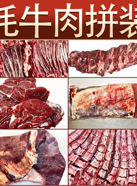 6斤牦牛肉拼装新鲜现宰原切正宗青海祁连山散养溜达牛顺丰包邮