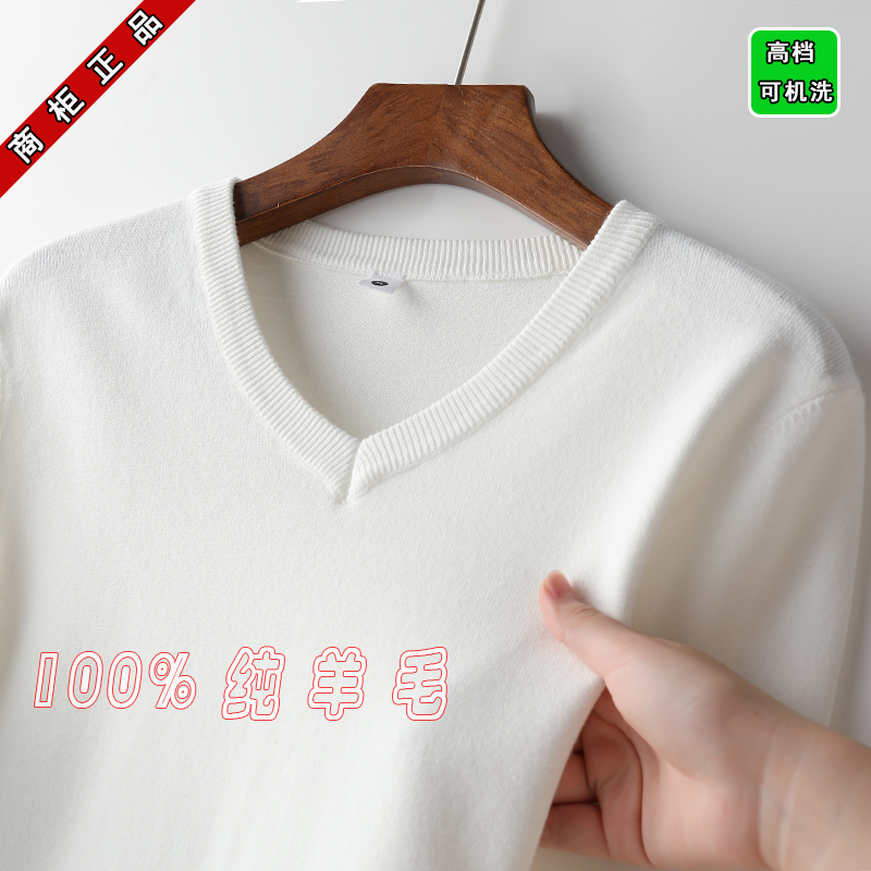 濮院羊毛衫中青年男士秋冬新款韩版修身针织打底V领保暖纯羊毛衣