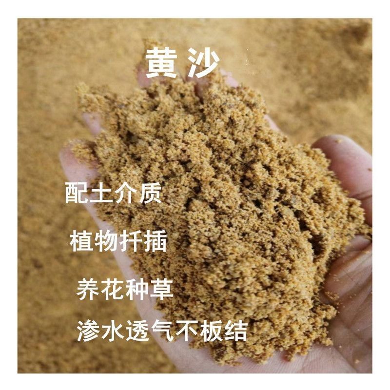 河沙天然无菌淡水河沙沙儿童娱乐仓鼠龟类孵化多用园艺多肉绿植,农用物资,育苗/栽培基质,淘宝优惠券,粉丝福利购,淘宝优惠卷