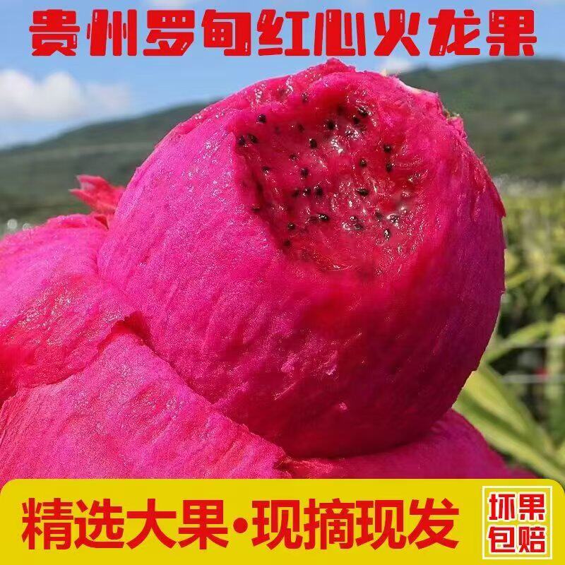 罗甸红心火龙果当季新鲜现摘水果孕妇水果火龙果整箱红心果