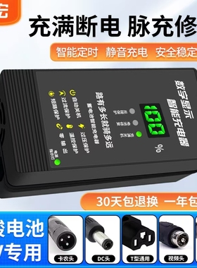 12V12AH摩托车汽车电瓶车充电器12V20AH50AH60AH蓄电池智能修复激