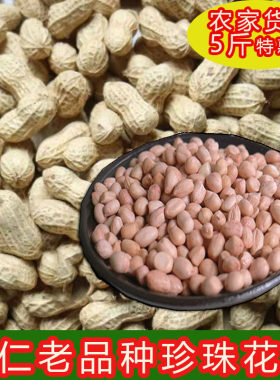 铜仁小花生珍珠贵州带壳农家生的