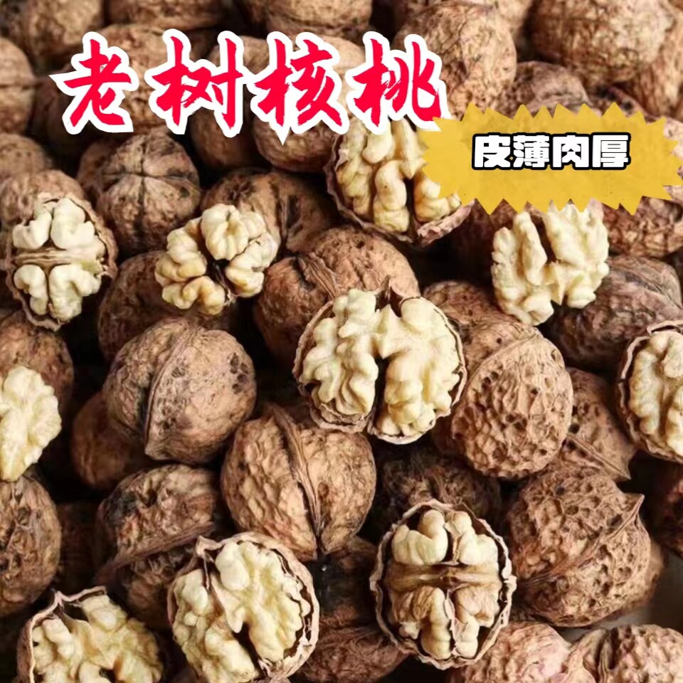 老树薄壳新鲜核桃孕妇无漂白送夹