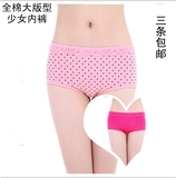 Pads pour soutien-gorge - Ref 820054 Image 28