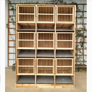 鸽子笼信鸽放飞笼防水前斜粪板种鸽实木组合多功能巢箱配对笼包邮