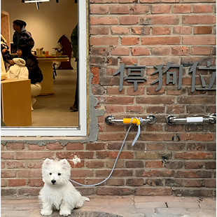 Dog parking复古个性宠物停狗位泊狗处泊狗位上墙狗栓不锈钢把手