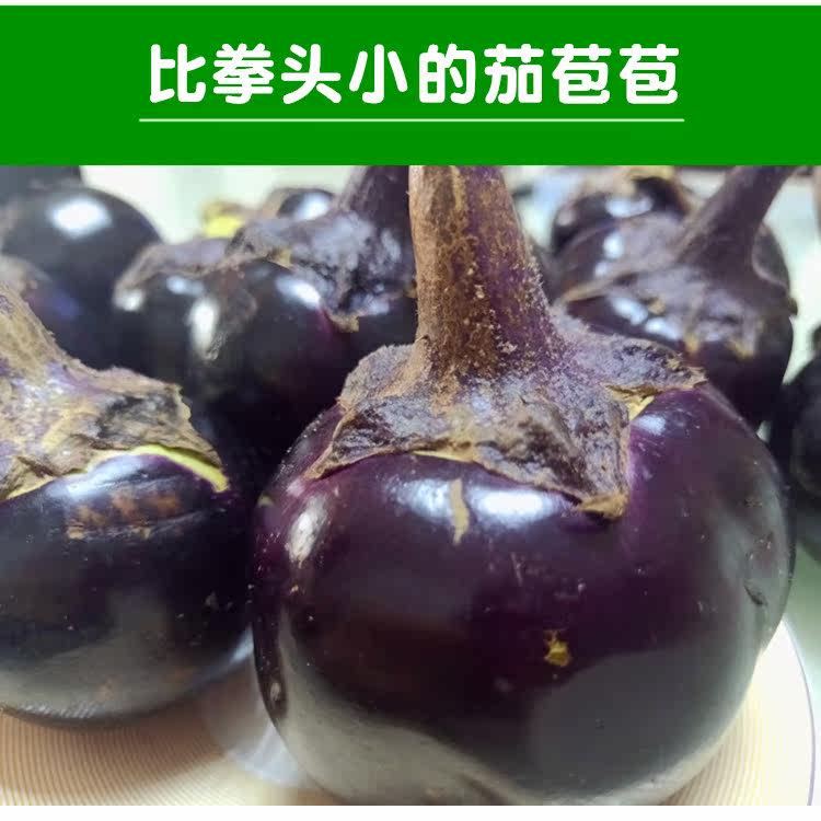 新鲜茄包小茄仔现摘落架小茄子紫皮小茄包菊花茄腌咸菜蒜泥韭茄