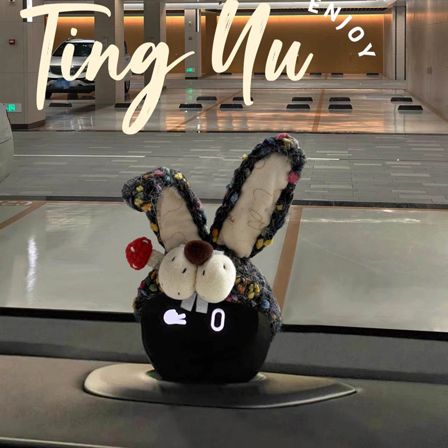 蔚来nomi帽子大耳兔帽手工帽et7es6es8ec6ec7头饰et5装饰品纯手工