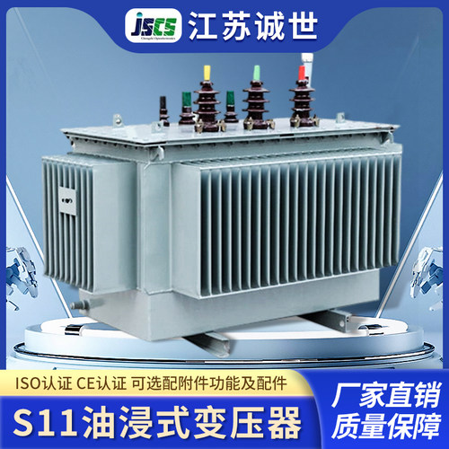 诚世光电10kV油浸式电力变压器