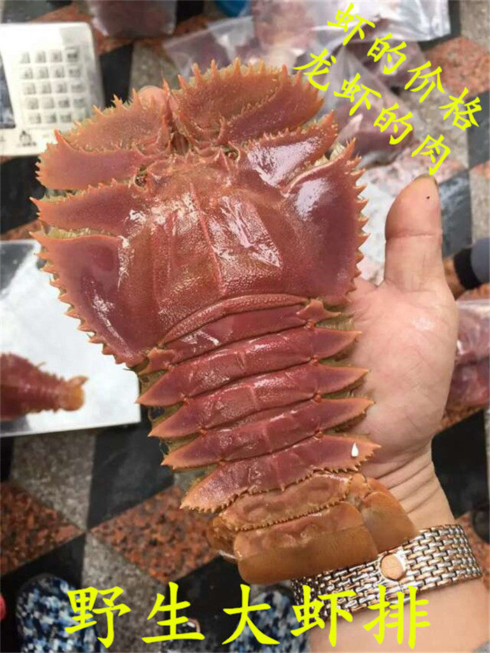 东山岛海鲜 野生虾蛄排琵琶九齿扇虾扁虾龙虾皮皮虾龙虾排禅虾