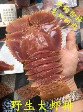 东山岛海鲜 野生虾蛄排琵琶九齿扇虾扁虾龙虾皮皮虾龙虾排禅虾