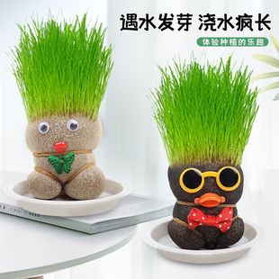 长草头娃娃迷你卡通儿童小植物孩子盆栽室内阳台抖音同款猫草