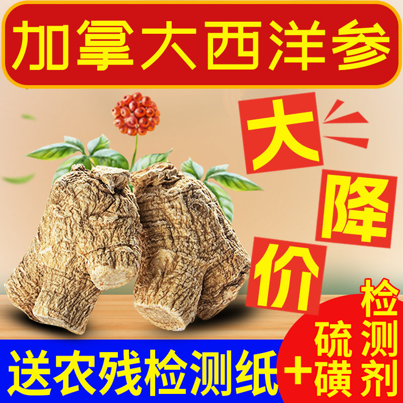 【加拿大西洋参】高档软支加拿大西洋参可切片可发整个可直播磨粉