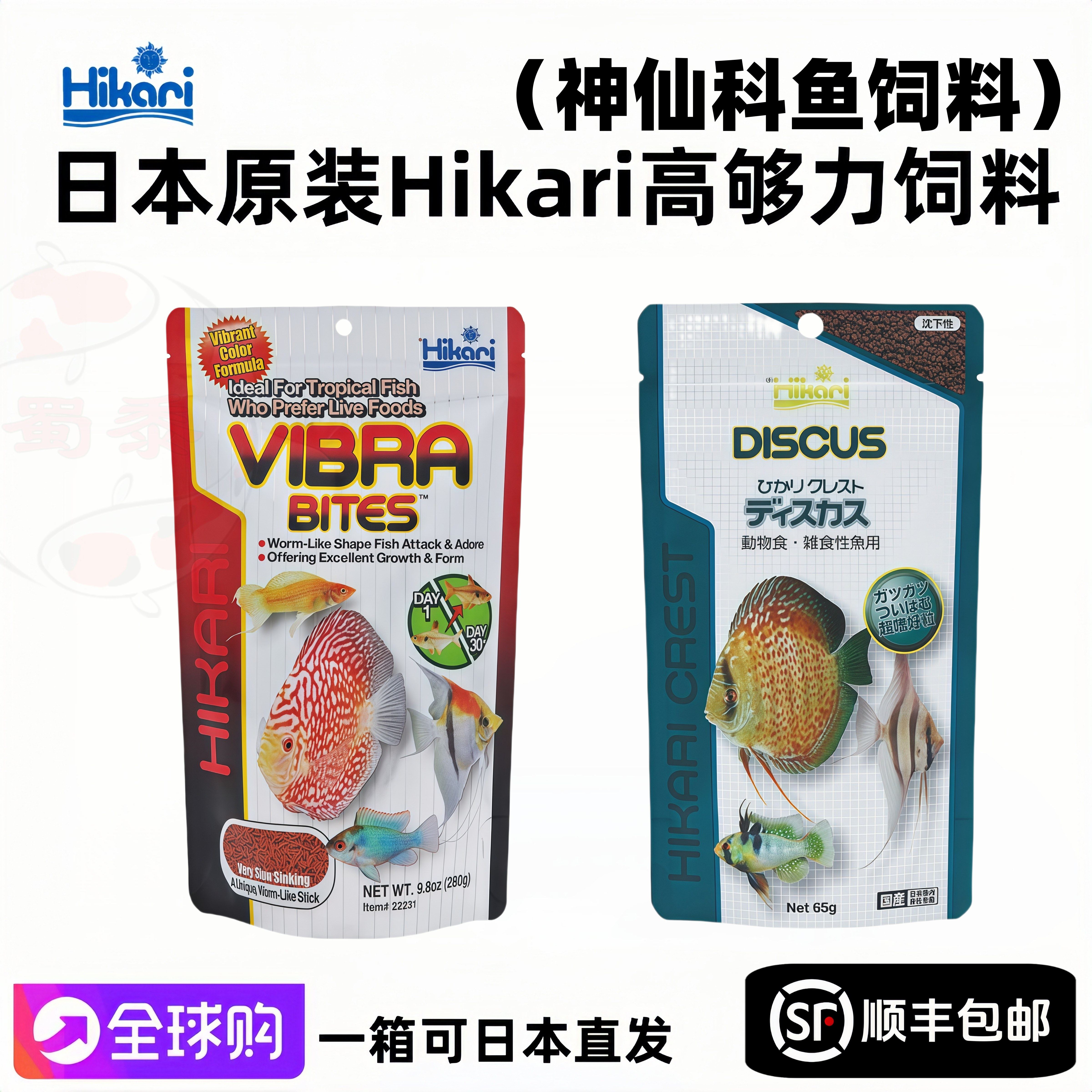 日本高够力鼠鱼热带鱼仿红虫图片