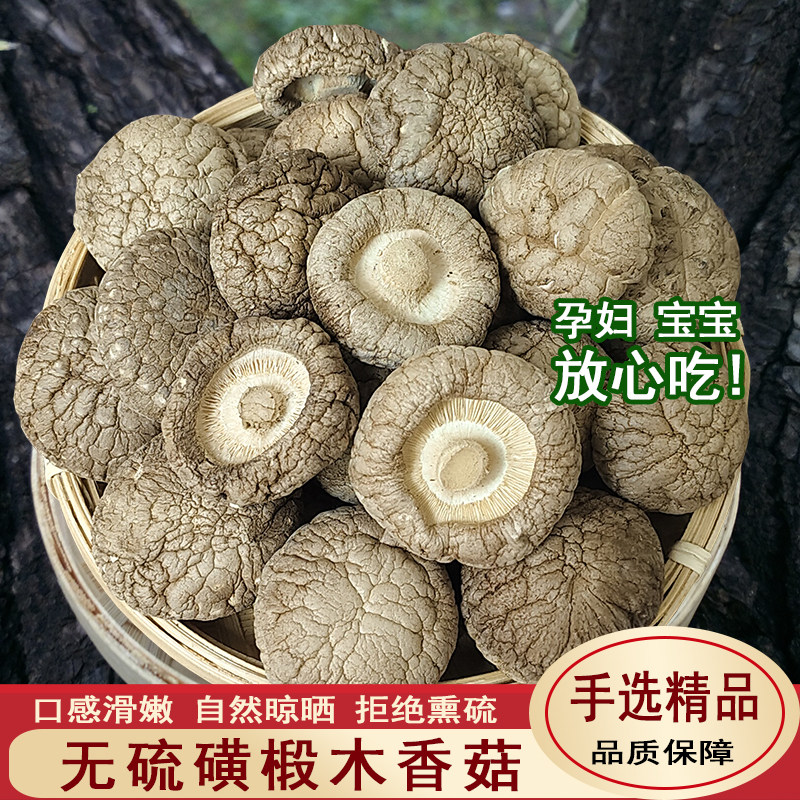 东北椴木小香菇干货 500g肉厚散装手选香菇 黑龙江齐齐哈尔产半野