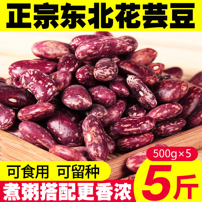 东北紫花芸豆25年新货农家熬煮大碴粥饭豆五谷杂粮特产新鲜红腰豆