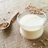 新货300g红枣味速溶豆粉非转基因大豆即食营养早餐冲饮商