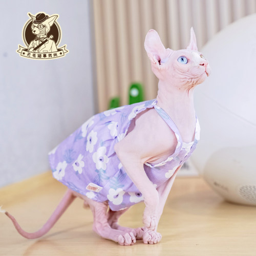 无毛猫事务所无毛猫衣服包邮