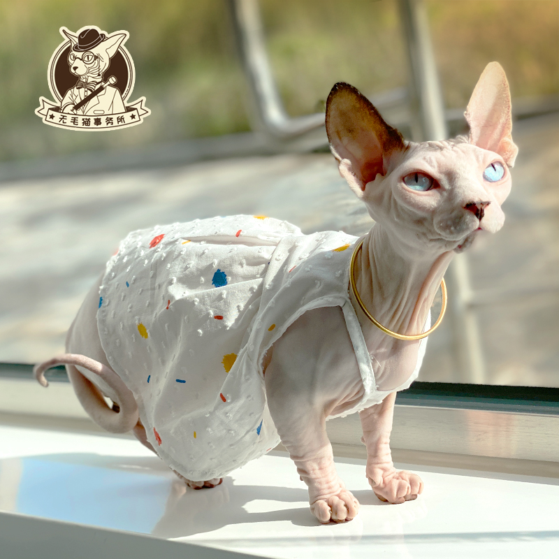 无毛猫斯芬克斯公主风防晒背心