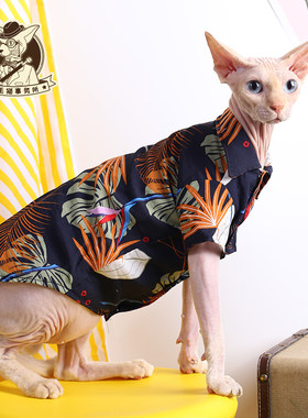 宠物猫咪幼猫衣服无毛猫德文布偶蓝猫泰迪短袖衬衫纯棉透气海岛风