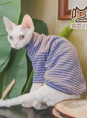 无毛猫事务所德绒阳离子条纹长袖