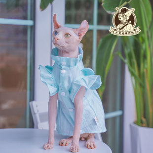 2023年秋季 无毛猫斯芬克斯德文卷毛猫衣服棉布立领清新连衣裙 新款