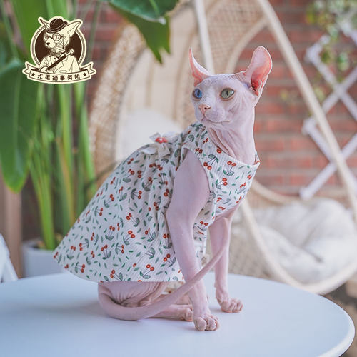 无毛猫秋季灯芯绒蝴蝶结连衣裙