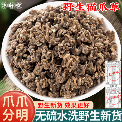 野生猫爪草正品水洗无硫猫瓜草中药材夏枯草郁金蒲公英中草药泡茶