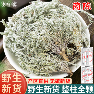野生茵陈中药材500g250g100克2025新货三月绵茵陈蒿茶草药绵白蒿