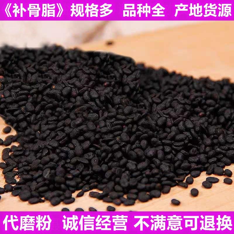 适用补骨脂新货不熏染农产品中药材原料破故纸黑故子炙补骨脂粉沫