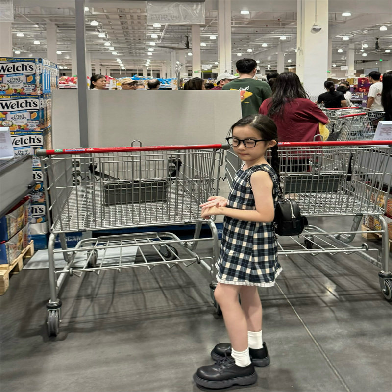 夏款中大童黑白格子裙2026夏季儿童花边无袖连衣裙女童赵露思同款