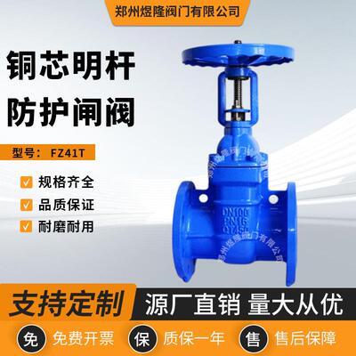 供应FZ41T铜芯明杆防护闸阀法兰硬密封人防铜阀杆阀门