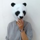 万圣节大熊猫面具成人cos乳胶动物头套功夫熊猫道具儿童熊猫头