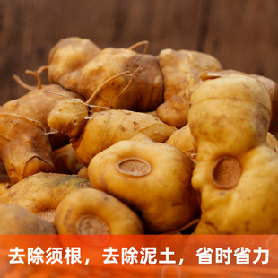 云南正在新鲜滇黄精云南新鲜黄精九蒸九晒煲汤泡酒料