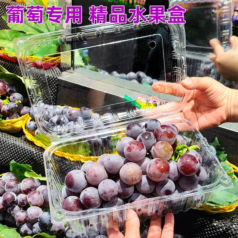 52型号一次性长方形带盖水果盒
