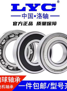 洛阳LYC电机轴承6307 6308 6309 6310 6311 6312 6313 6314 RZ 2Z
