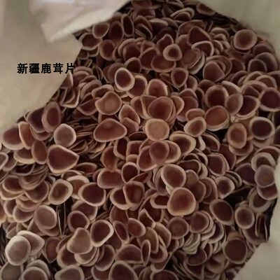 新疆干鹿茸片泡酒中药材鹿角茸片