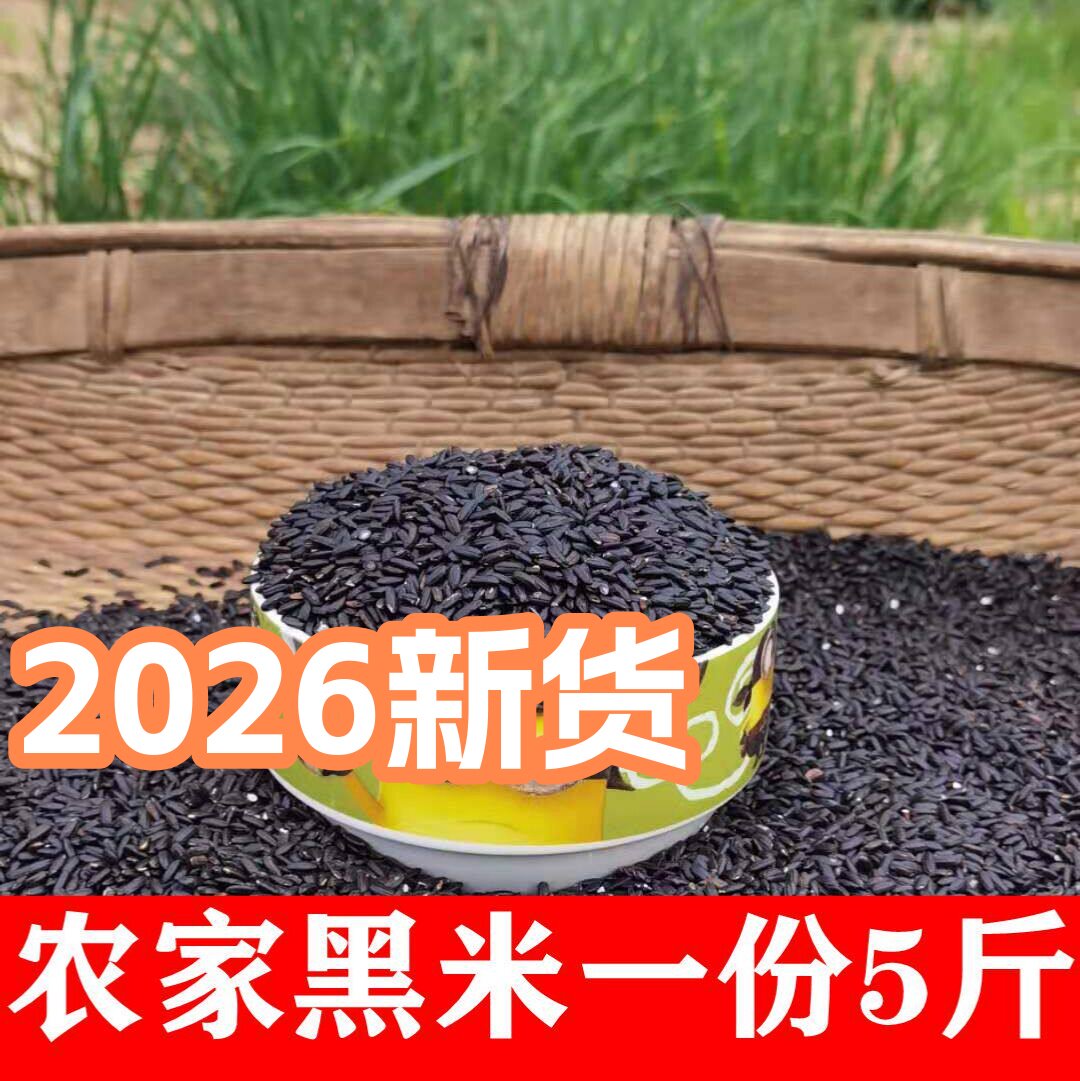 陕西农家自产黑米黑糯米洋县血糯米五谷杂粮粗粮饭食用黑米粥5斤