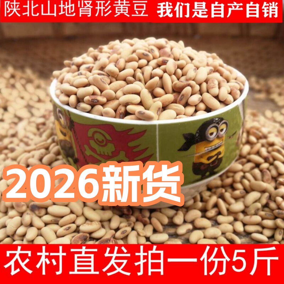肾形黄豆 陕北农家自种老品种打豆浆发豆芽豆腐杂粮新货土黄豆5斤