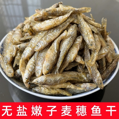 无盐嫩子鱼干货湖南农家淡水小鱼仔麦穗鱼干火焙鱼小河鱼弄子特产