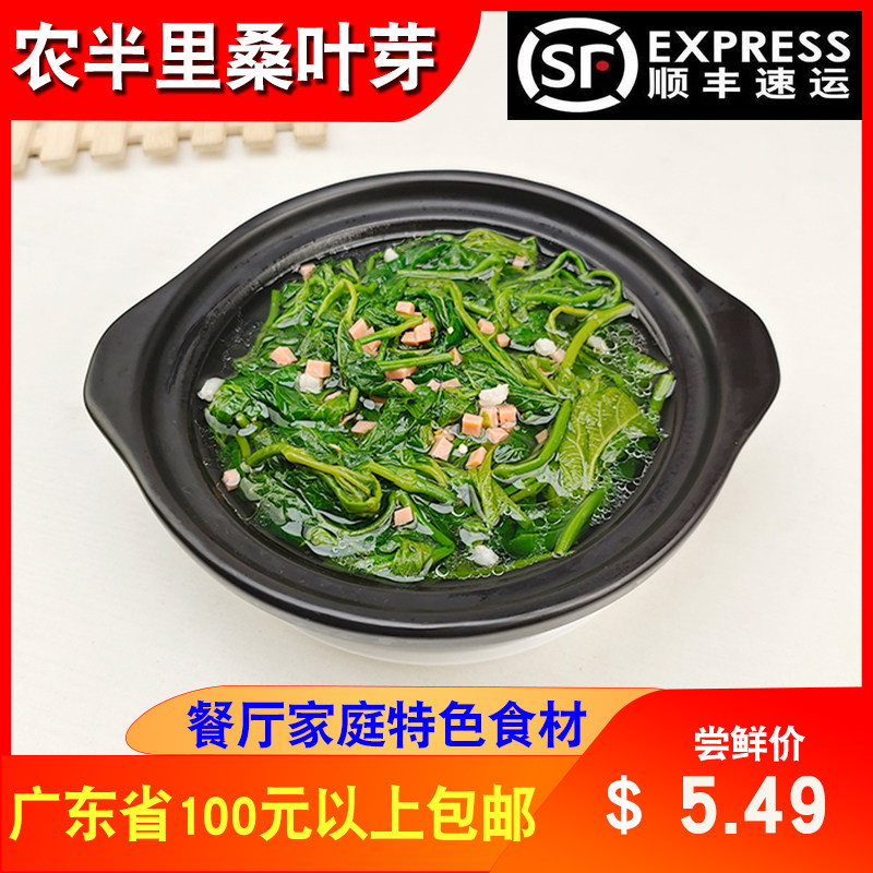 农半里桑叶芽250g餐厅酒店上汤桑苗白灼凉拌嫩菜芯冷冻半成品商用