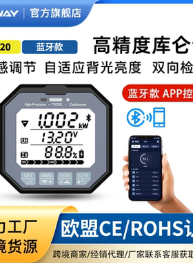 TX20蓝牙库仑计电瓶电动车房车库伦计电量显示器表电池容量检测仪