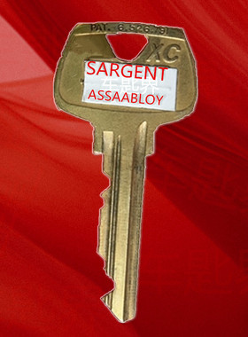 配国外钥匙 配欧洲钥匙 图片配美国钥匙 欧洲钥匙 ASSA  LA