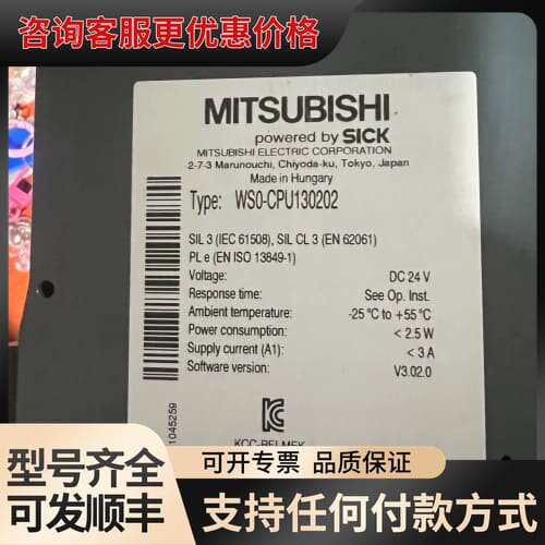 议价WSO-CPU130202一1片 WSO-GETH00可维修